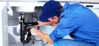 Best Trenchless Pipe Repair  in Genola, UT